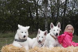 forrest,fiona,coralie